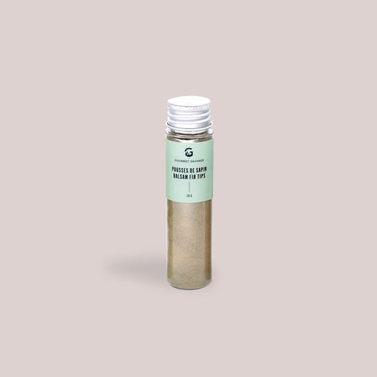 Poudre de pousses de sapin Gourmet sauvage