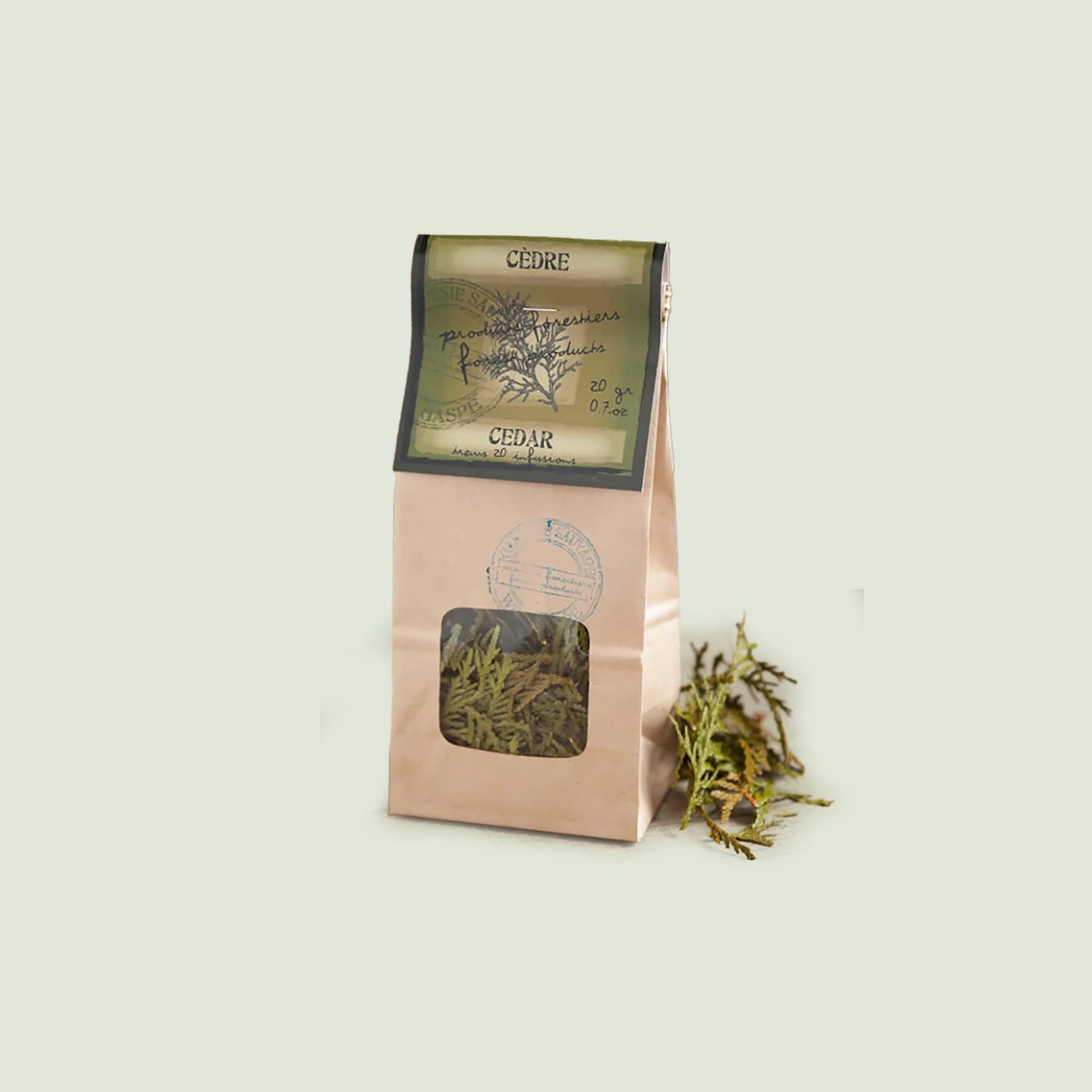 Infusion de cèdre Gaspésie sauvage