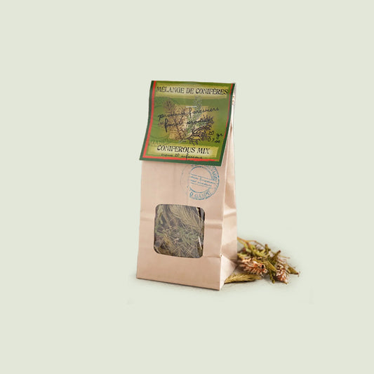 Mélange conifères Gaspésie sauvage