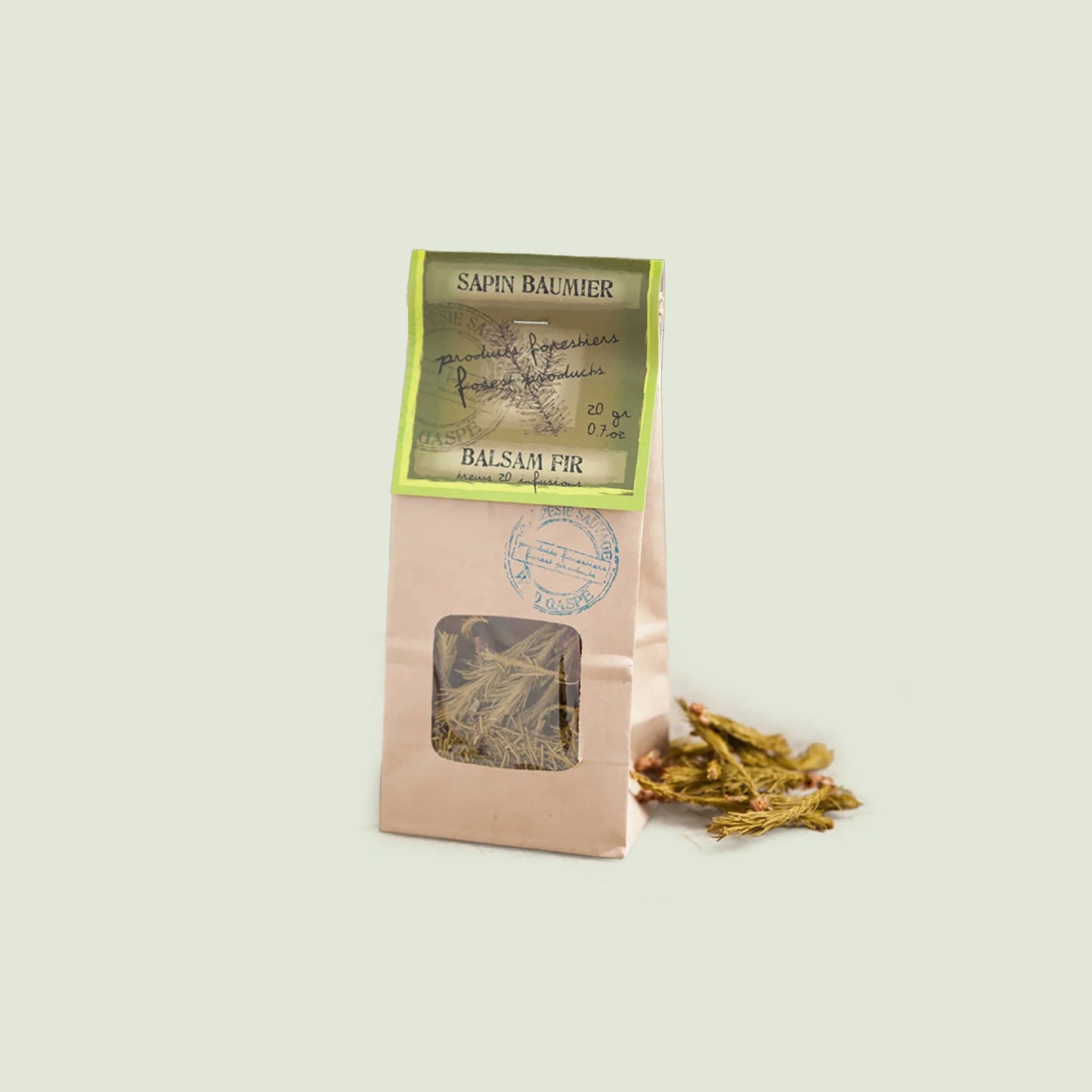 Sapin baumier Gaspésie sauvage