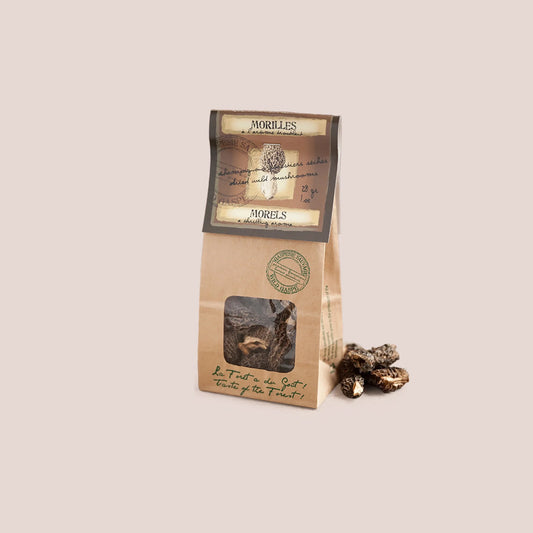 Morilles Gaspésie sauvage