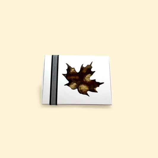 Bonbons mous à l'érable Petite virée